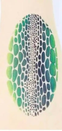 Monster / Snake / Dragon Skin – Stensil fra Nordic FaceArt