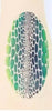 Monster / Snake / Dragon Skin – Stensil fra Nordic FaceArt